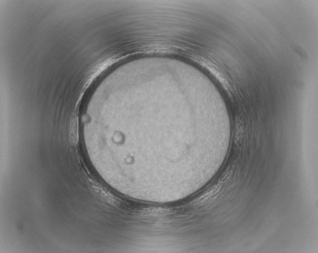 X0000115411075200912011221