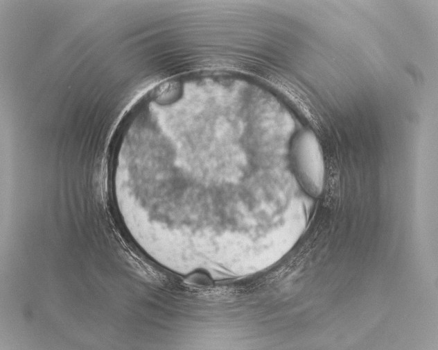 X0000115411076200912011221