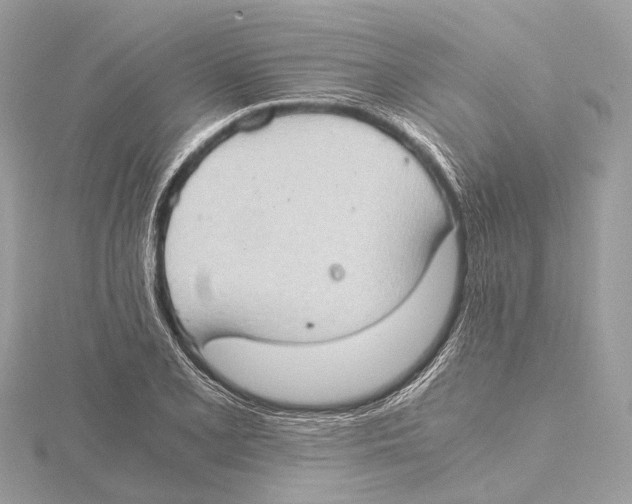 X0000115411077200912011221