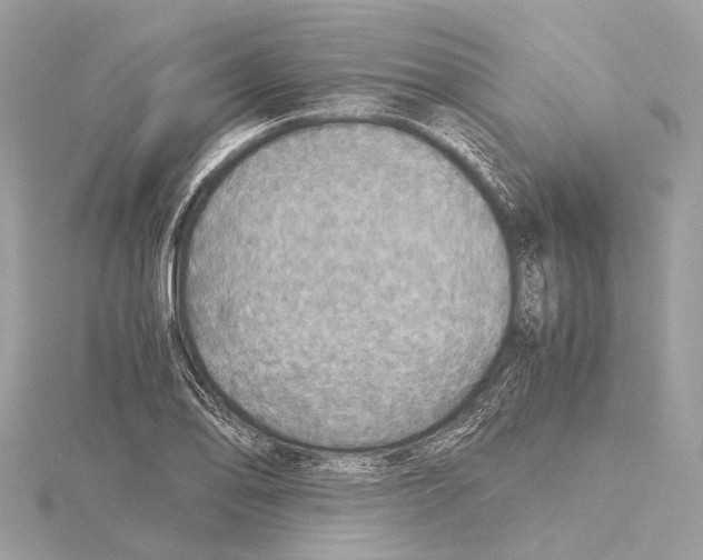 X0000115411078200912011221