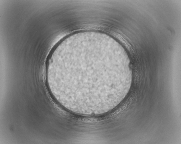 X0000115411079200912011221