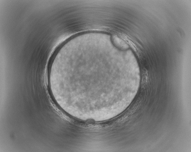 X0000115411080200912011221