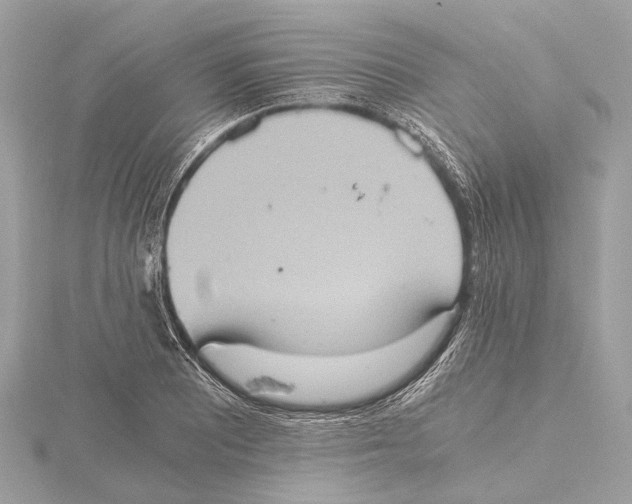 X0000115411081200912011221