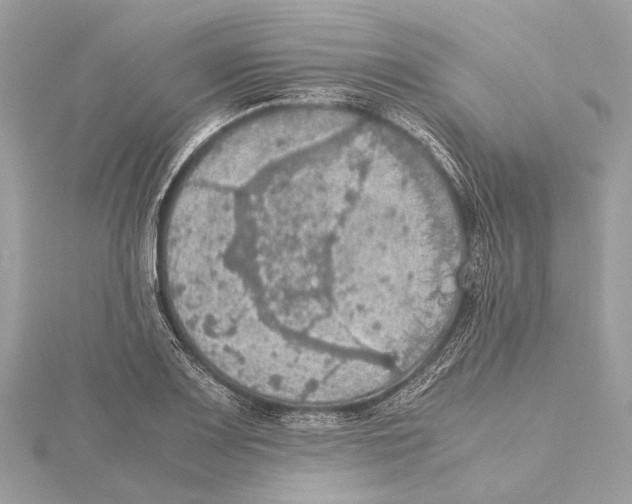 X0000115411083200912011221