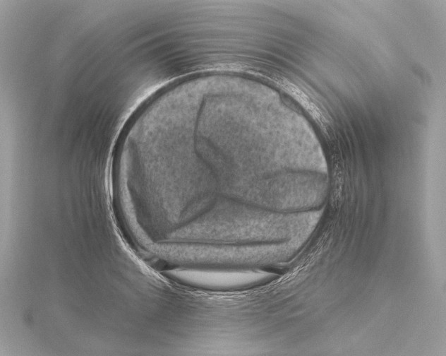 X0000115411084200912011221