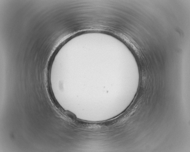 X0000115411085200912011221