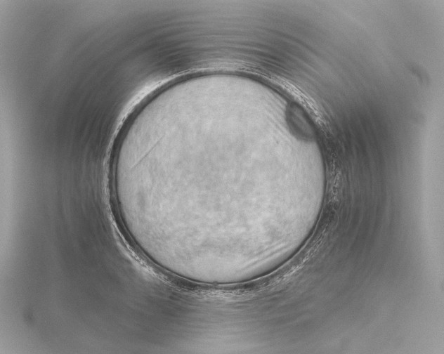 X0000115411086200912011221