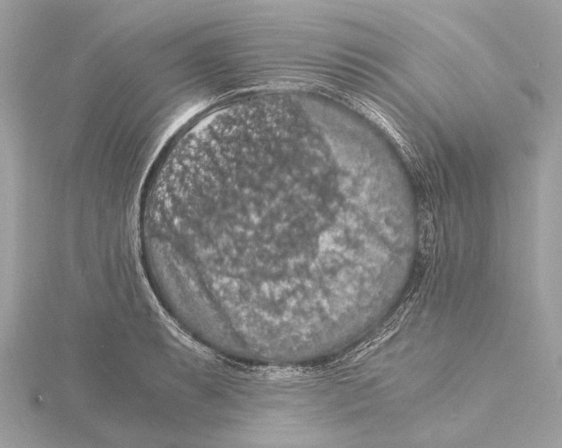 X0000115411087200912011220