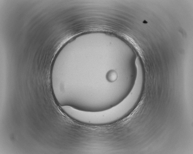 X0000115411089200912011220