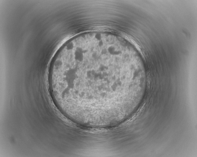 X0000115411091200912011220