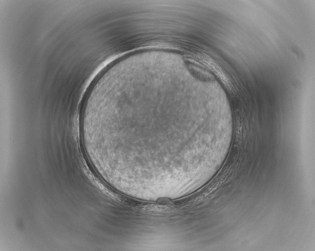 X0000115411092200912011220