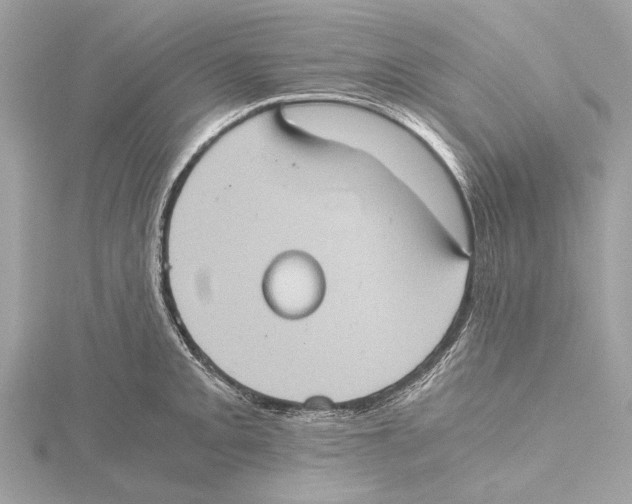 X0000115411093200912011220