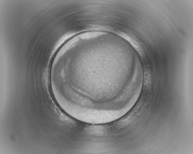 X0000115411094200912011220