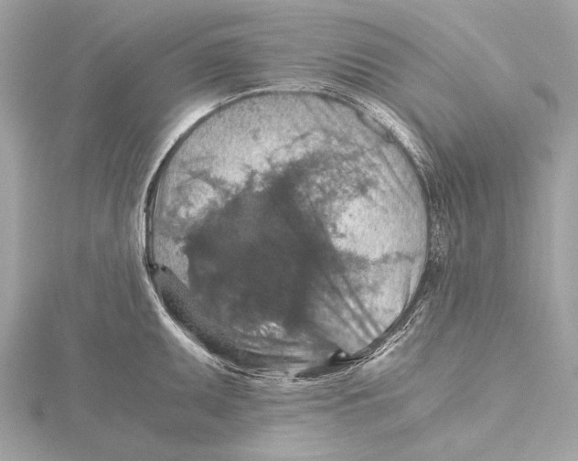 X0000115411095200912011220