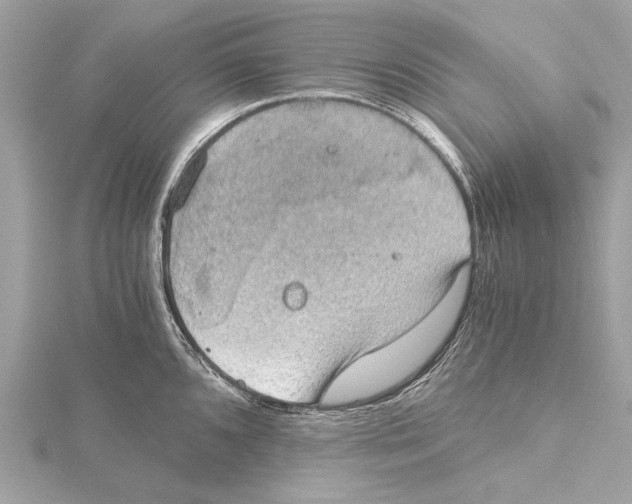 X0000115411096200912011220