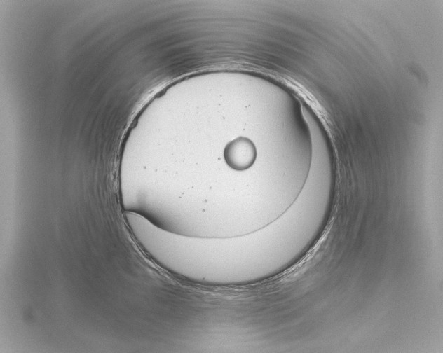 X0000115411097200912011220