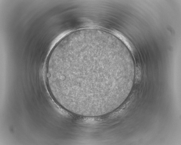 X0000115411098200912011220