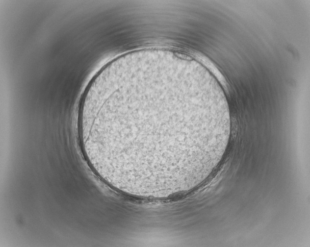 X0000115411099200912011220