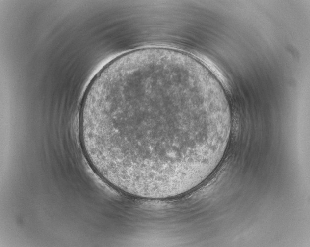 X0000115411100200912011220