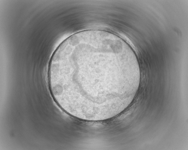 X0000115411103200912011220