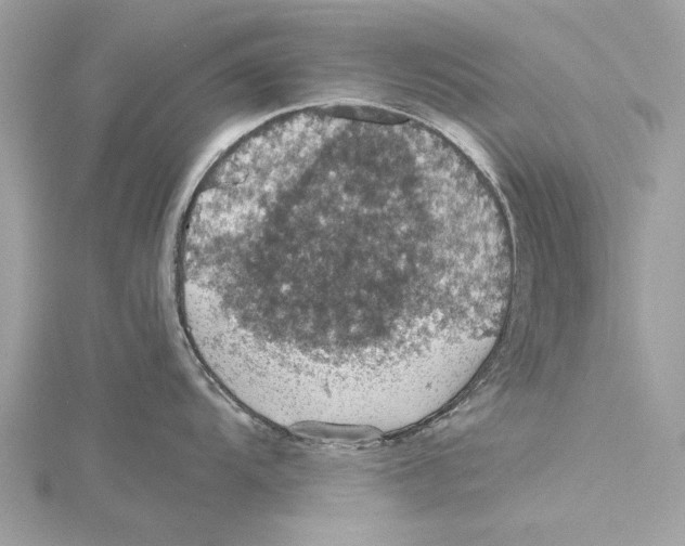 X0000115411104200912011220