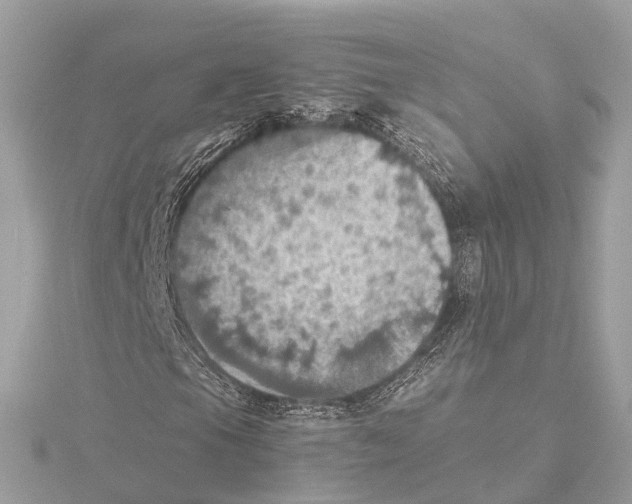 X0000115411105200912011219