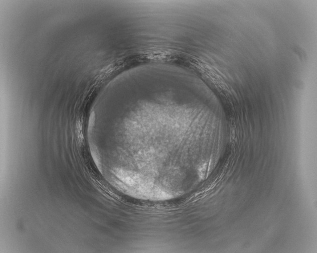 X0000115411106200912011220