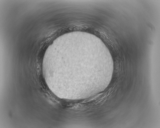 X0000115411109200912011220