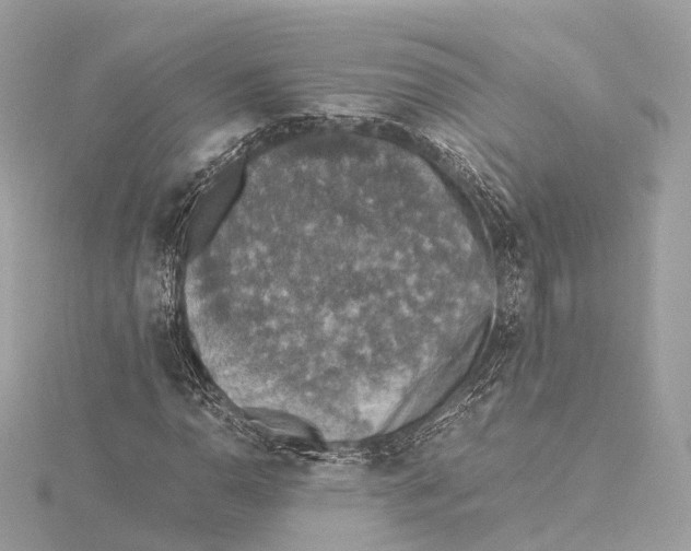 X0000115411110200912011220