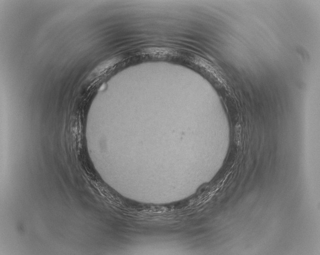 X0000115411111200912011220