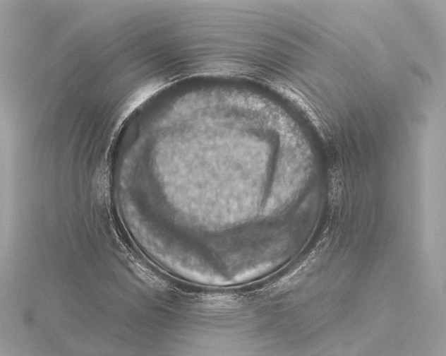 X0000115411114200912011220