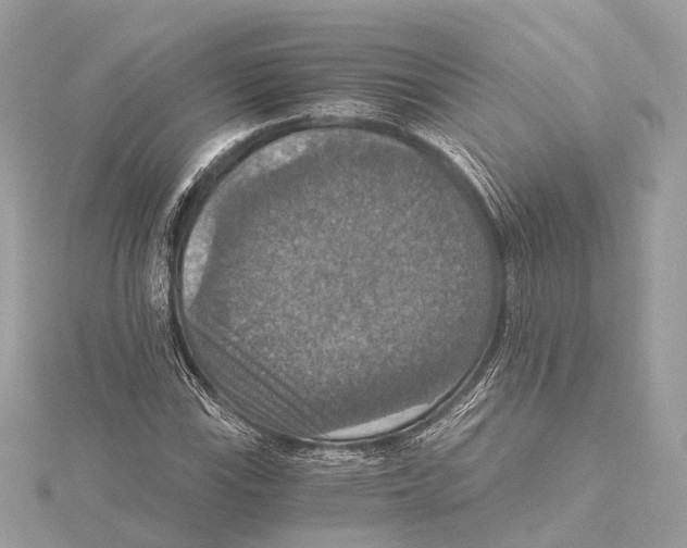 X0000115411115200912011220