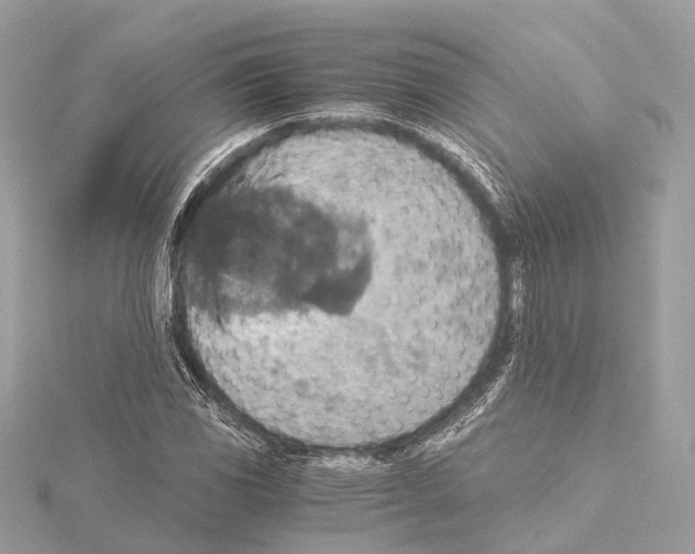 X0000115411117200912011220