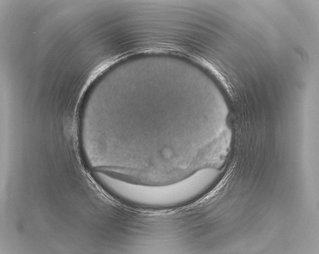 X0000115411122200912011220