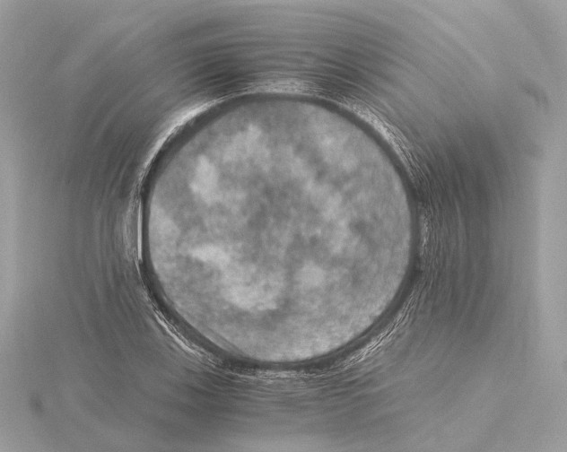 X0000115411123200912011220