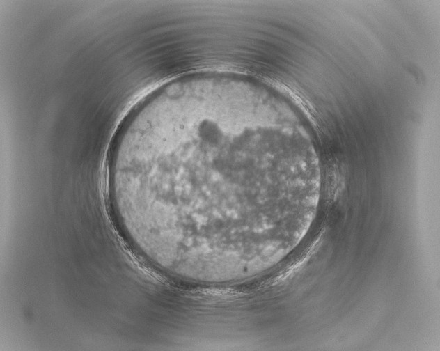 X0000115411125200912011220