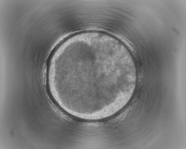 X0000115411126200912011220