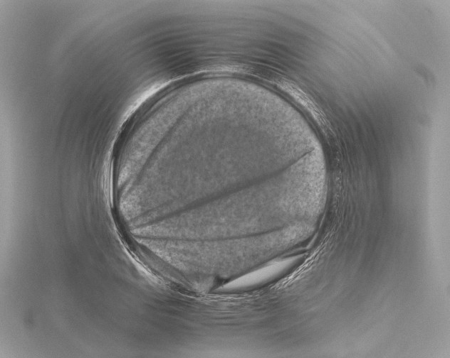 X0000115411127200912011220