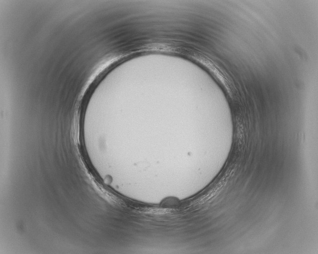 X0000115411131200912011220