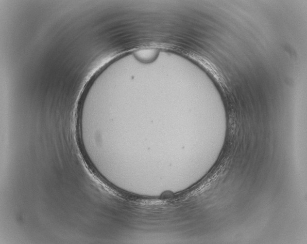 X0000115411135200912011220