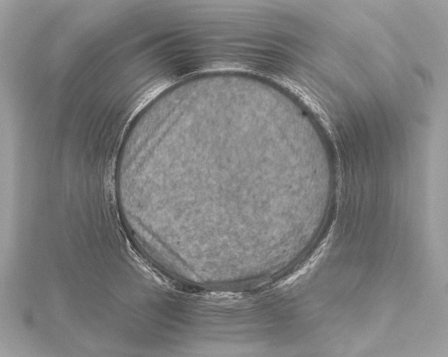 X0000115411137200912011220