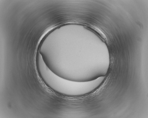 X0000115411138200912011220