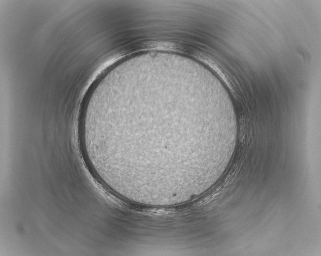 X0000115411139200912011220