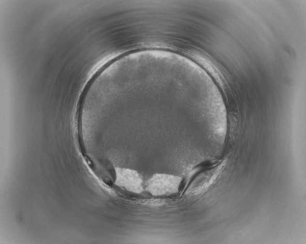 X0000115411141200912011220