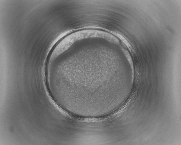 X0000115411142200912011220