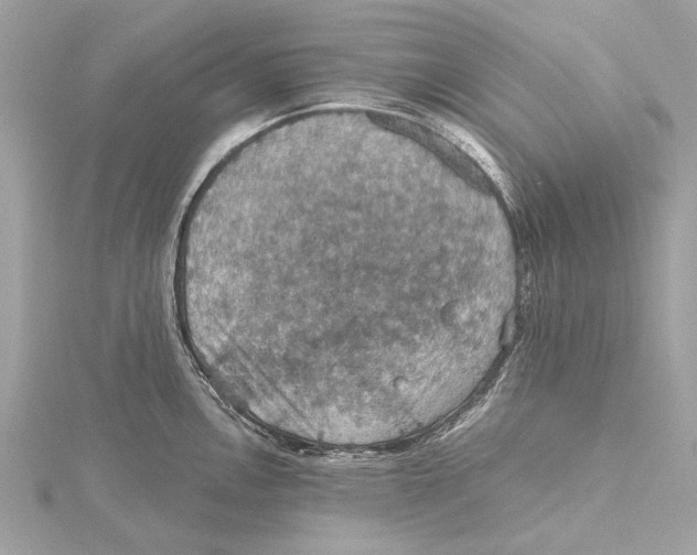 X0000115411146200912011220