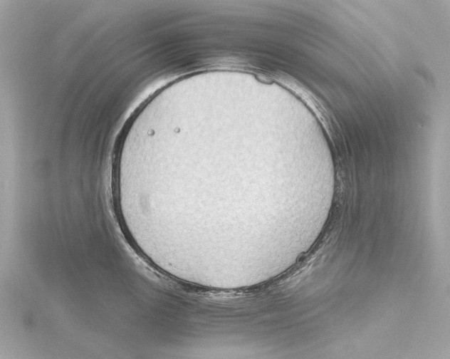 X0000115411147200912011220