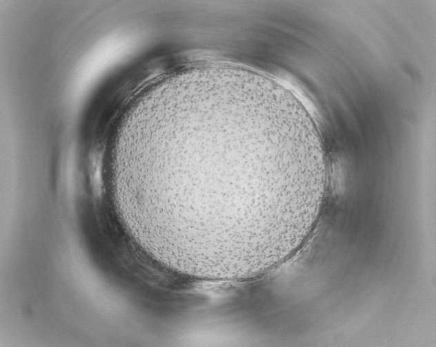 X0000115411150200912011220