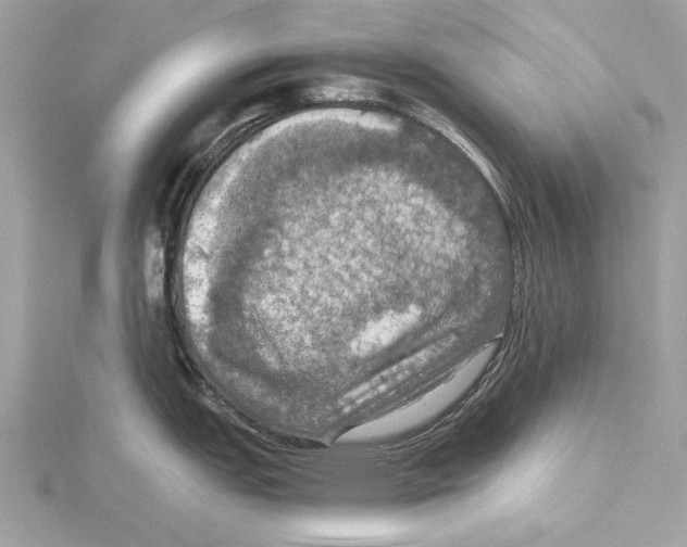 X0000115411151200912011220