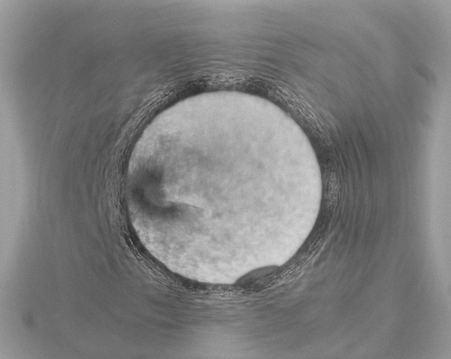 X0000115411153200912011219